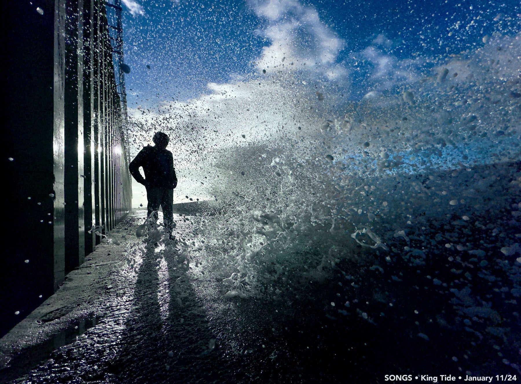 Rising Seas, Rising Risks