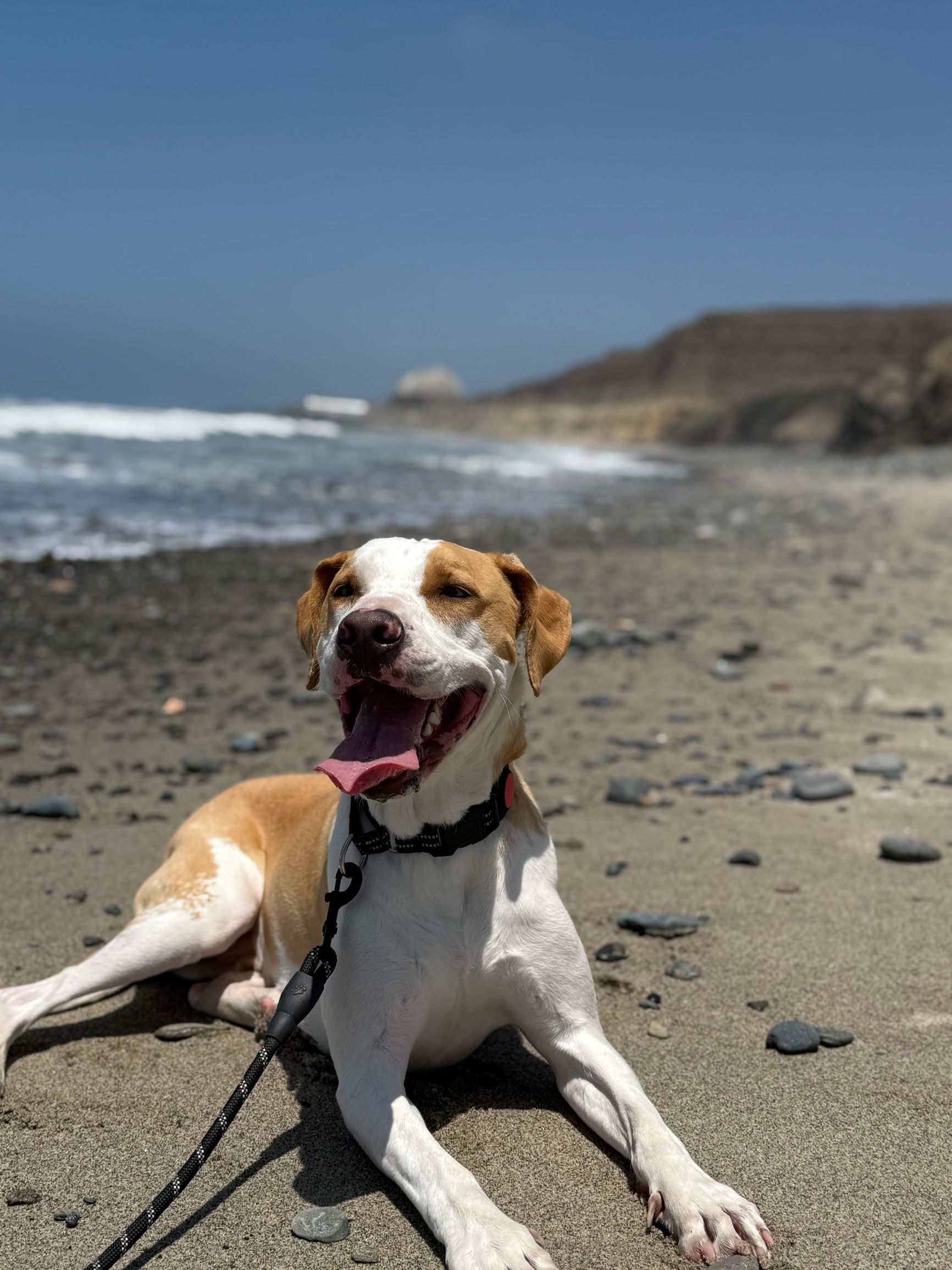 The beach near the SONGS (San Onofre Nuclear Generating Station) power plant