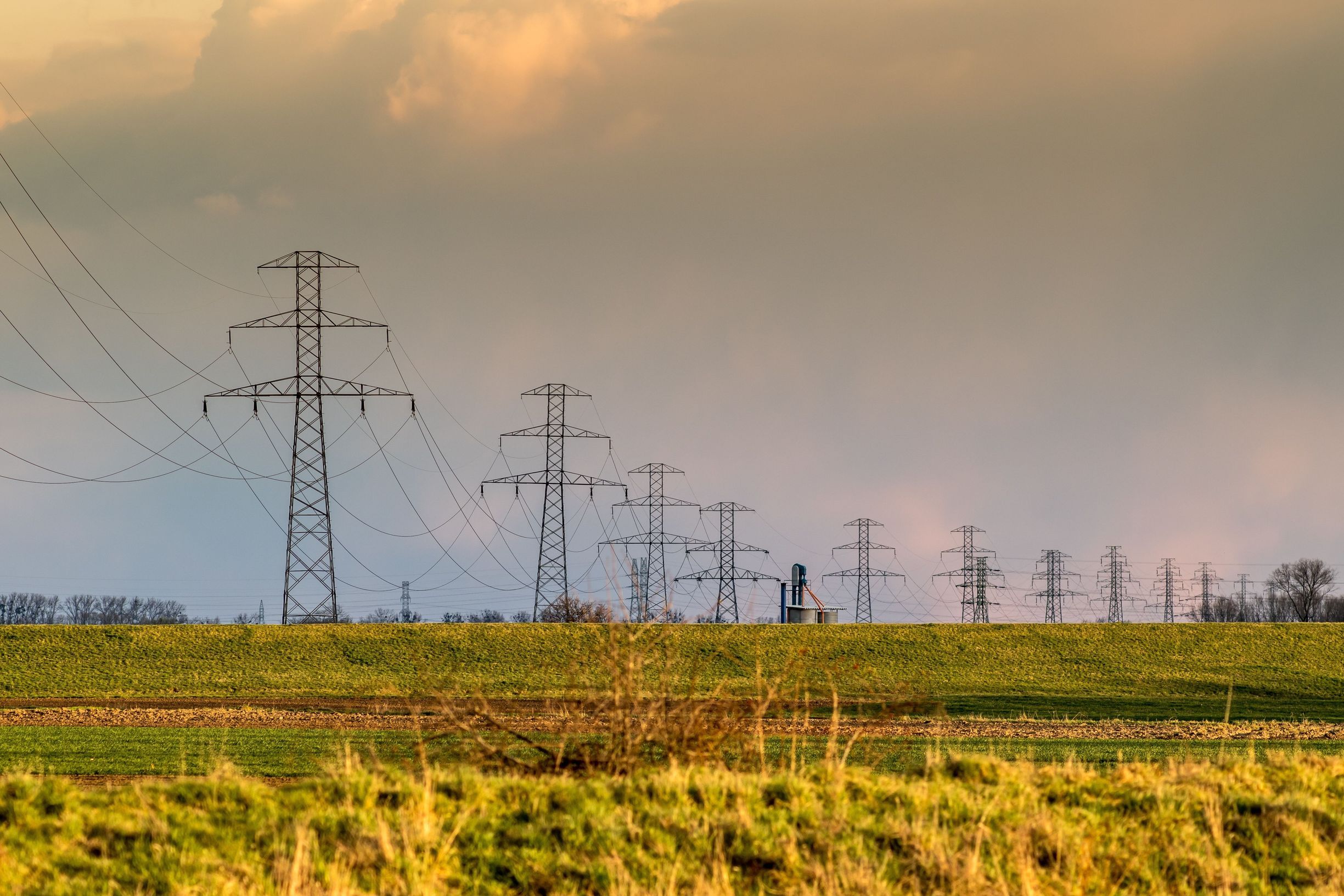 Transmission lines sprawl across farmlands